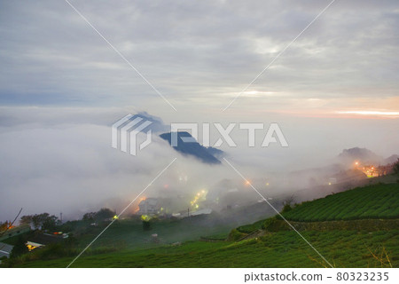 光廣茶園之上,白雲籠罩,太陽在天線之上冉冉升起,一片美麗的天空,色彩斑斕。 光廣茶園之上,白雲籠罩,太陽在天線之上冉冉升起,一片美麗的天空,色彩斑斕。 80323235