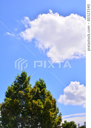 透明晴朗的天空 透明晴朗的天空 80323540