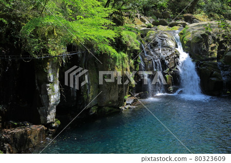 Scenery of Kikuchi Gorge Tengu Waterfall Scenery of Kikuchi Gorge Tengu Waterfall 80323609