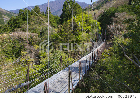 【山梨縣道志村】久保橋 80323973
