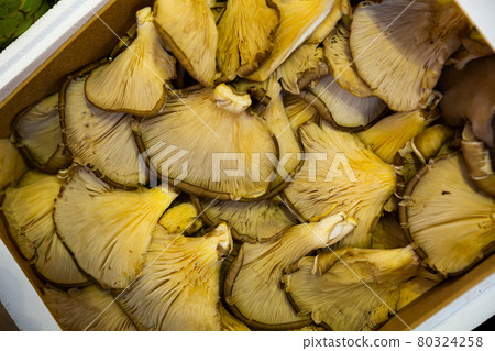 Oyster mushrooms for sale at the market Oyster mushrooms for sale at the market 80324258