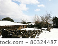 Winter scenery of Jeju Island, Korea 80324487