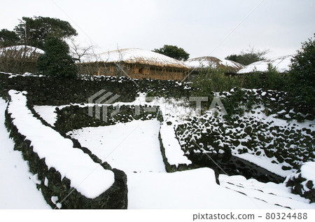 Winter scenery of Jeju Island, Korea 80324488