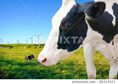 Ranch and wind power generation 80324521