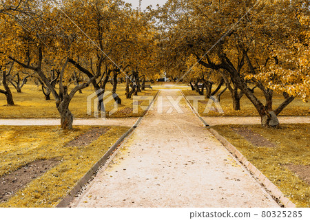 Kolomenskoye park on autumn day. Moscow Kolomenskoye park on autumn day. Moscow 80325285