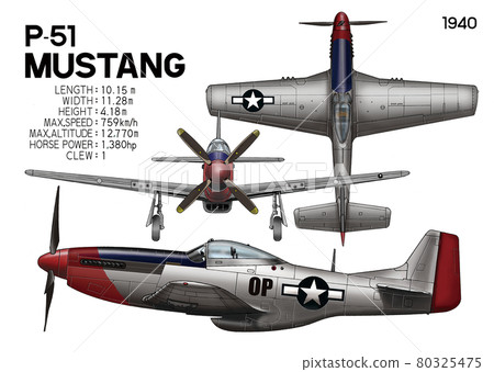 P ^ 51 Mustang P ^ 51 Mustang 80325475
