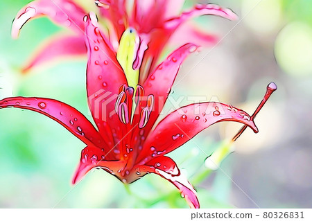 柔和風格的“百合花”插圖圖像 80326831