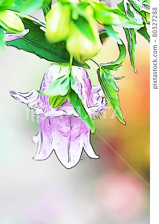 柔和的風格“雙盛開的風鈴”插圖圖像 80327288