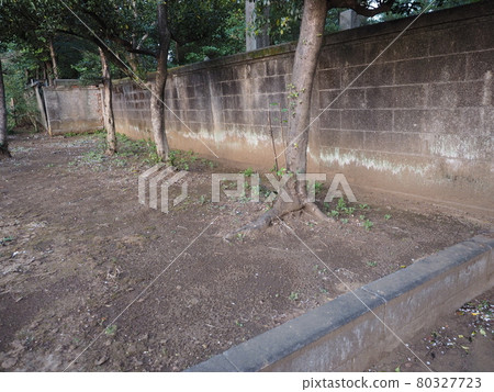 Fences and trees with a deserted atmosphere Fences and trees with a deserted atmosphere 80327723