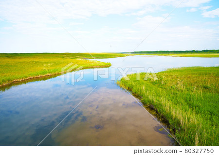 初夏的北海道小牧湖 初夏的北海道小牧湖 80327750