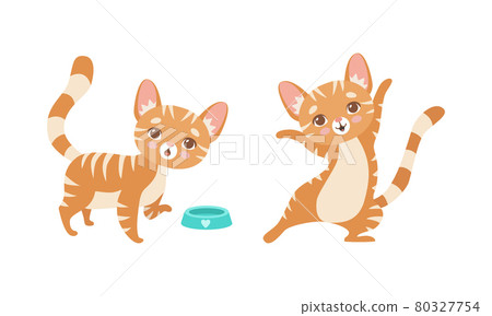 Cute Ginger Striped Kitten as Furry Domestic Pet with Feeding Bowl Vector Set Cute Ginger Striped Kitten as Furry Domestic Pet with Feeding Bowl Vector Set 80327754