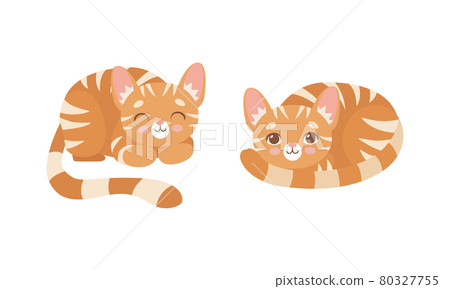 Cute Ginger Striped Kitten as Furry Domestic Pet Cuddling and Nestling Vector Set 80327755