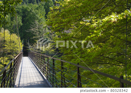 [Doshi Village, Yamanashi Prefecture] Nohara Suspension Bridge 80328342