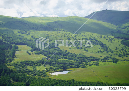 Yatsushima Mire在夏天 80328799