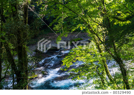 Beautiful scenery of Kikuchi Gorge in the early morning 80329490