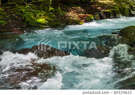 Beautiful scenery of Kikuchi Gorge in the early morning 80329622
