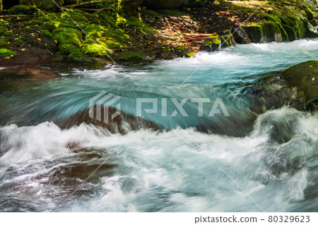 Beautiful scenery of Kikuchi Gorge in the early morning Beautiful scenery of Kikuchi Gorge in the early morning 80329623