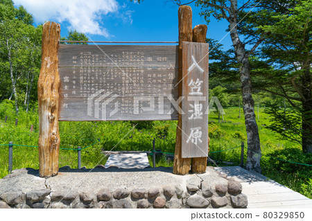 Irukasa Wetland (Mount Irukasa) 80329850