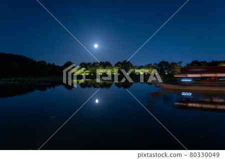 Pleasure boat of the Ryuto sashimi boat floating in Osawa Pond on the evening of the moon viewing of Daikakuji Temple in Kyoto City, Kyoto Prefecture 80330049