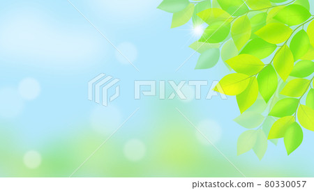 新鮮的綠葉和陽光的背景插圖 80330057