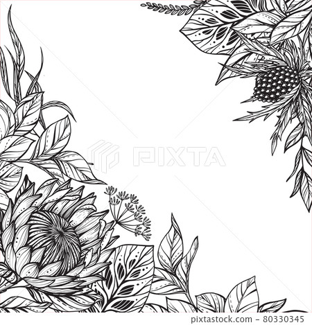 Beautiful vector frame with black and white feverweed, protea, peony flowers and leaves. 80330345