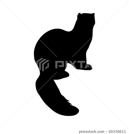Pine Marten Silhouette Pine Marten Silhouette 80330611