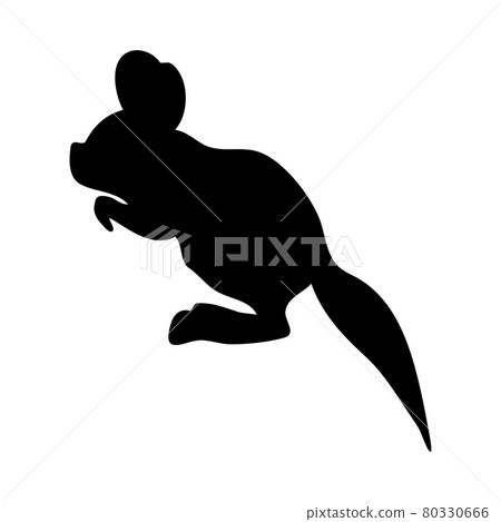 Fat-Tailed Jerboa Silhouette Fat-Tailed Jerboa Silhouette 80330666