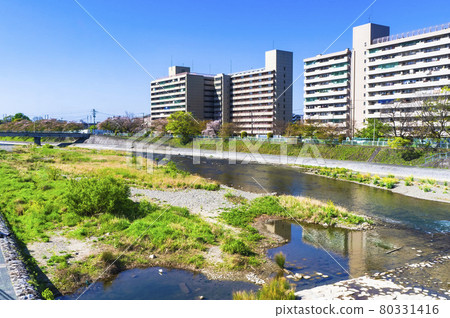 鴨川和鹽小路橋 鴨川和鹽小路橋 80331416