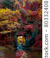Nomizo Falls Fallen Leaves 80332408