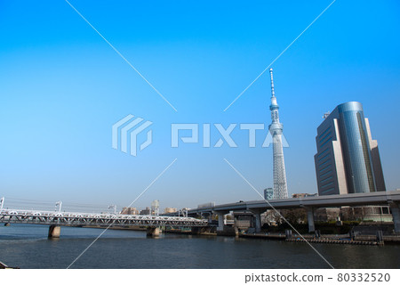 晴朗的天空樹天空樹 80332520