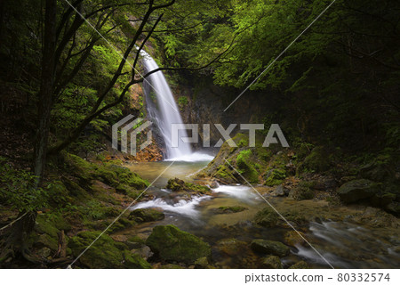 Gongen Waterfall Takihata Shijuhachi Waterfall (Takihata, Kawachinagano City, Osaka Prefecture) Gongen Waterfall Takihata Shijuhachi Waterfall (Takihata, Kawachinagano City, Osaka Prefecture) 80332574