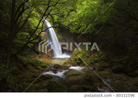 Gongen Waterfall Takihata Shijuhachi Waterfall (Takihata, Kawachinagano City, Osaka Prefecture) Gongen Waterfall Takihata Shijuhachi Waterfall (Takihata, Kawachinagano City, Osaka Prefecture) 80332596