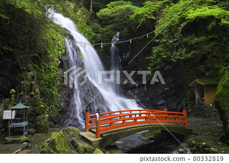 Shipporyuji Temple Inunaruyama Shipporyuji Temple（大阪府泉佐野市） 80332819