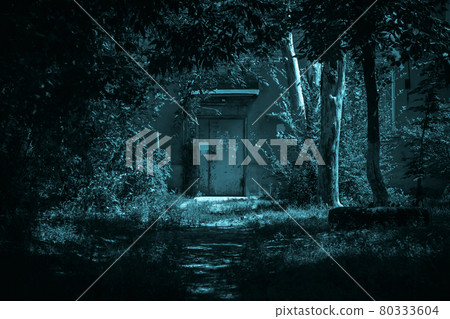 Horror concept, a path to the entrance of a house door through a scary dark night forest among trees with a mystical paronormal blue moonlight and shadows in the darkness causing a feeling of fear Horror concept, a path to the entrance of a house door through a scary dark night forest among trees with a mystical paronormal blue moonlight and shadows in the darkness causing a feeling of fear 80333604