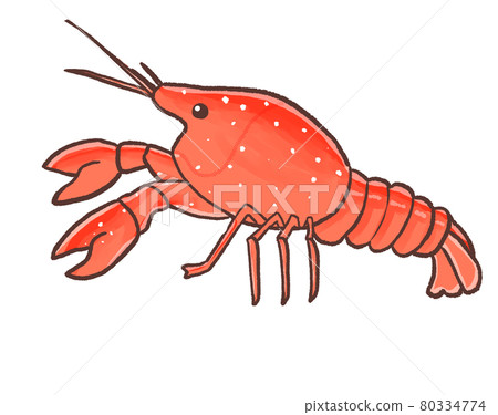 R: A more fairy tale aquarium ☆ Exotic species, American crayfish ⓪ R: A more fairy tale aquarium ☆ Exotic species, American crayfish ⓪ 80334774