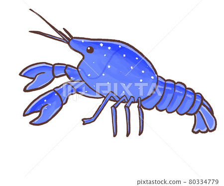 R: More fairy tale aquarium ☆ Exotic species Mystery Crayfish ④ R: More fairy tale aquarium ☆ Exotic species Mystery Crayfish ④ 80334779