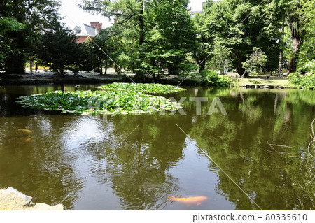 Former Hokkaido Government Office Building Red Brick Front Garden Former Hokkaido Government Office Building Red Brick Front Garden 80335610