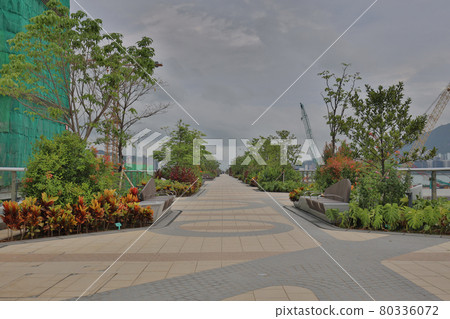 the seasonal walkways at Kai Tak Sky Garden, HK 25 June 2021 the seasonal walkways at Kai Tak Sky Garden, HK 25 June 2021 80336072
