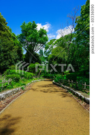 Higashi-Takane Forest Park with a blue sky (Kawasaki City, Kanagawa Prefecture) Higashi-Takane Forest Park with a blue sky (Kawasaki City, Kanagawa Prefecture) 80336090