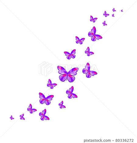 A flock of flying butterflies. Decoration for a postcard, packaging, website page. Vector illustration A flock of flying butterflies. Decoration for a postcard, packaging, website page. Vector illustration 80336272