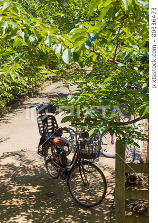 Parent-child electric bicycle parked in the shade at the entrance of the park 80336473