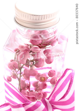 植物標本館插花鮮花禮物禮物 80337640