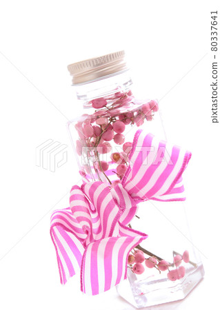 植物標本館插花鮮花禮物禮物 80337641