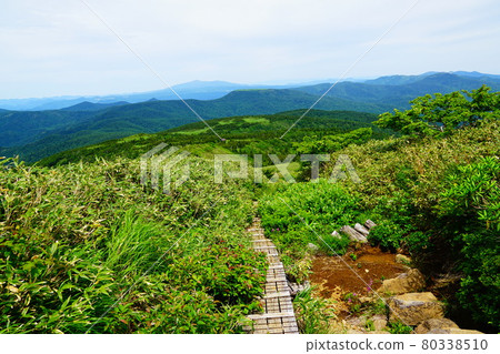 A wooden path from the summit of Mt. A wooden path from the summit of Mt. 80338510