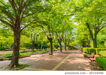 春日井市都市綠化植物園，別稱Greenpia Kasugai <愛知縣春日井市> 80338996