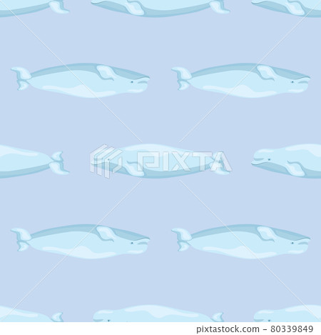 Seamless pattern Beluga on linght blue background. Template of cartoon character of ocean for children. Seamless pattern Beluga on linght blue background. Template of cartoon character of ocean for children. 80339849
