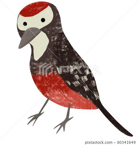 白背啄木鳥的插圖 80341649
