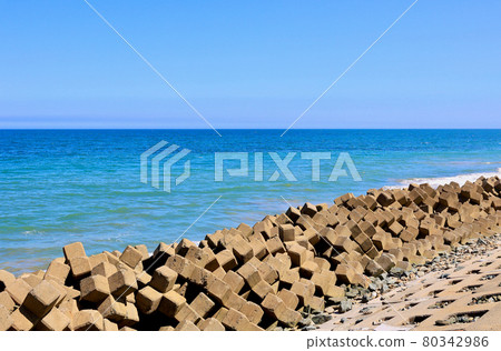 Coastal tetrapod Coastal tetrapod 80342986