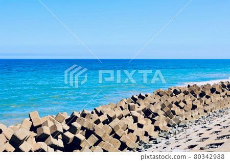 Coastal tetrapod Coastal tetrapod 80342988