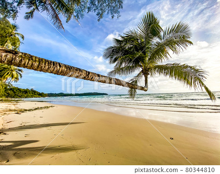 Klong Chao beach and its Double Palm Trees in koh Kood, Trat, Thailand Klong Chao beach and its Double Palm Trees in koh Kood, Trat, Thailand 80344810